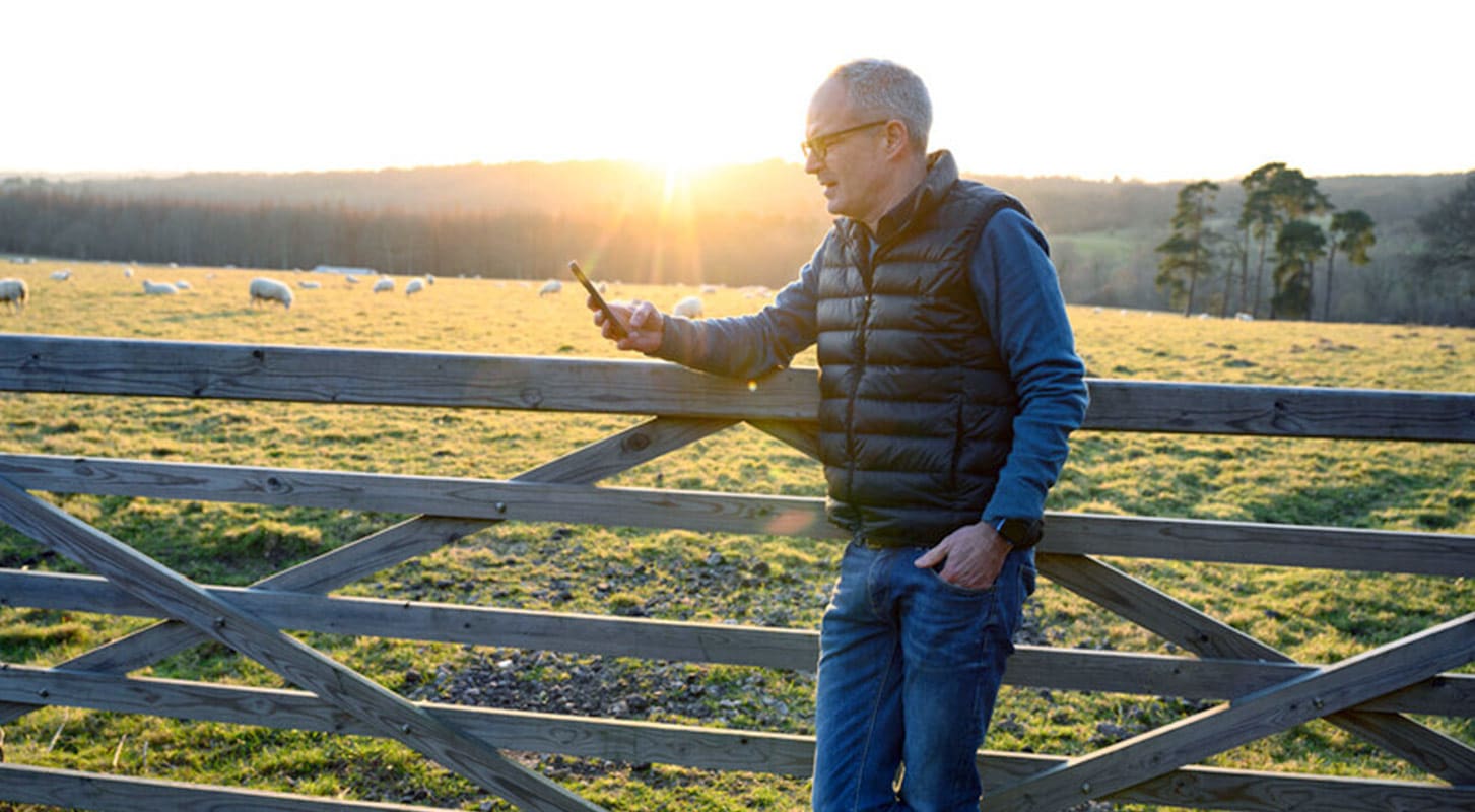 A man stands by a fence, looking at his cell phone, with a field of sheep grazing in the background.